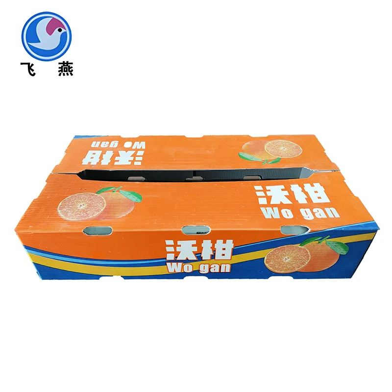 Fruit Calcium Plastic Turnover Box: Isang malakas na katulong para sa pagpapalawak ng buhay ng istante